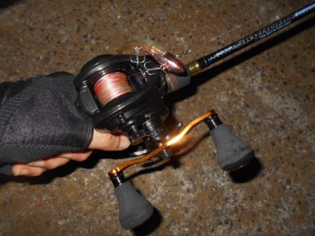 真夏の夜の釣り