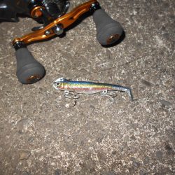 暑いよね～(汗)