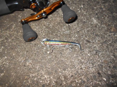 暑いよね～(汗)