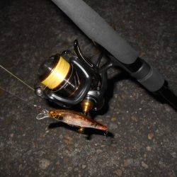 ボチボチ活性が上がり出す？