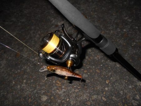 ボチボチ活性が上がり出す？