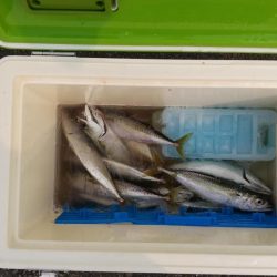 ファミリーフィッシング