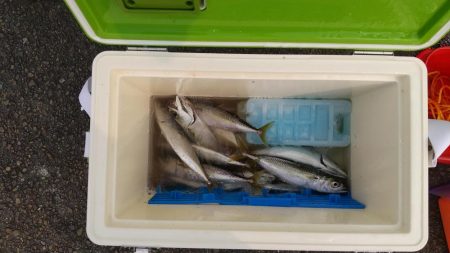 ファミリーフィッシング