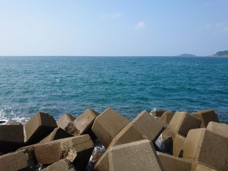 初場所・初シオ