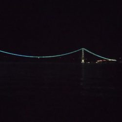 ケンサキぽつぽつ