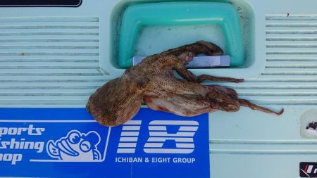 オクトパッション