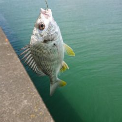 いろいろ来ました