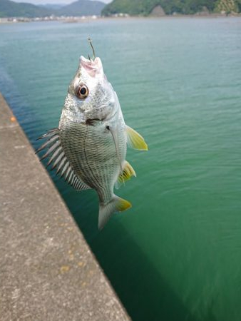 いろいろ来ました