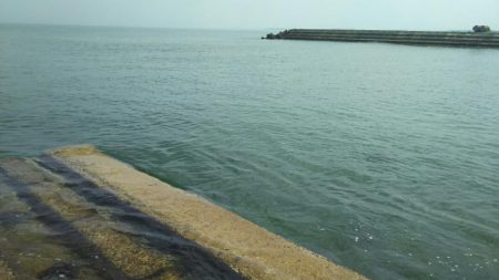 【汐入川河口】キス調査