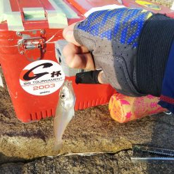 大塩海岸でキス釣り