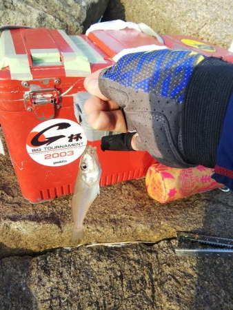 大塩海岸でキス釣り