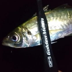 フロートアジング