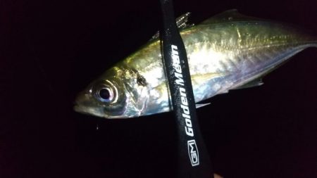 フロートアジング