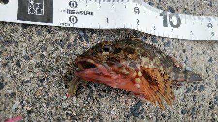 大雨の影響か……？