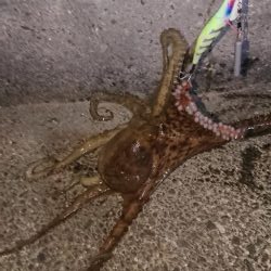 キロアップに10g足りず