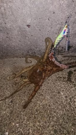 キロアップに10g足りず