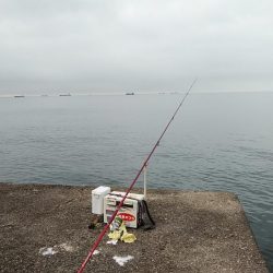 高砂初ポイント釣行