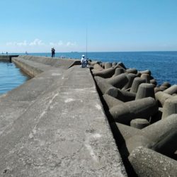 高砂港でキス連投