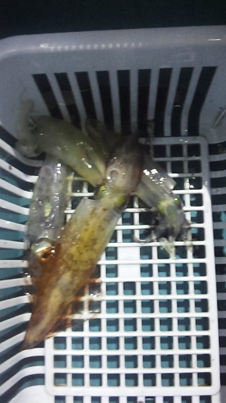 いつまで続くのこの渋さ