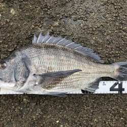 イチノ兄弟、釣果！