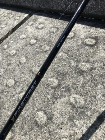 8月11日神戸空港青物