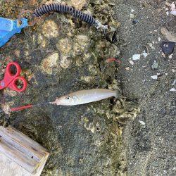 まだまだ続くよキス祭り