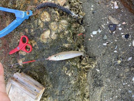 まだまだ続くよキス祭り