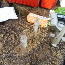 今日は良い日「大塩海岸」