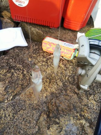 今日は良い日「大塩海岸」