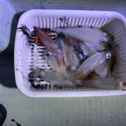 初イカメタル（ダイコク丸にて）