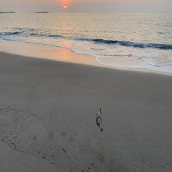 サーフでヒラメ