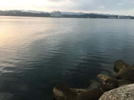 磯間港波止で良型コサバ20匹