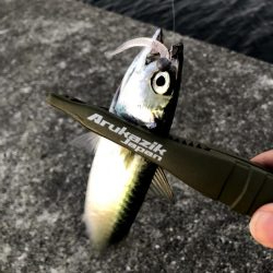 早朝サバングin西宮ケーソン2