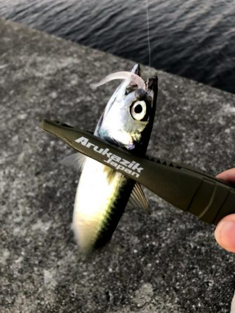 早朝サバングin西宮ケーソン2