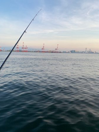 メクリアジ、おまけでタコ