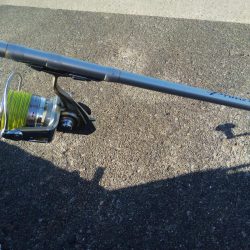 少しだけキス釣り