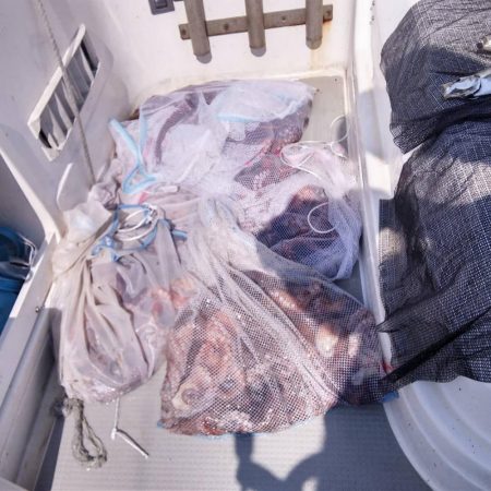 遊漁船SOUTH8/2チャーター便釣果