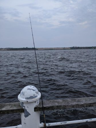 やっぱり、鯖。舞洲、夕方の釣り