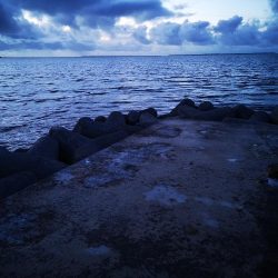 自作ペンシルでゴマフエダイ