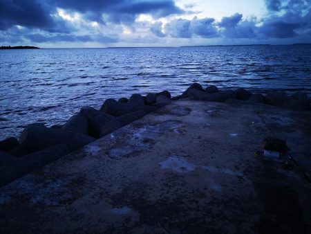 自作ペンシルでゴマフエダイ