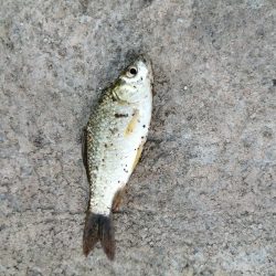 今日は一人で‼️