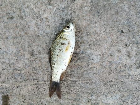 今日は一人で‼️