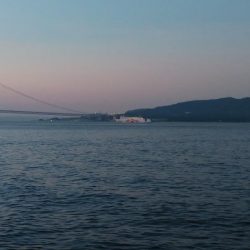 いい感じに浸かってます