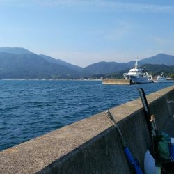 不発のキス釣り