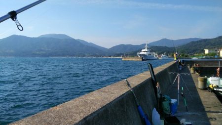 不発のキス釣り