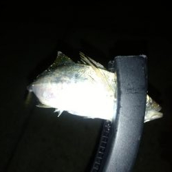 今年１番の暑さの中