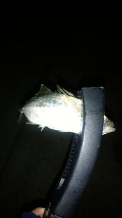 今年１番の暑さの中