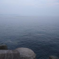 アジ狙いだったけど…