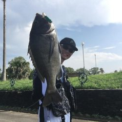 チニング　RIDE ON ！