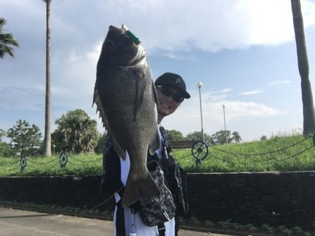 チニング　RIDE ON ！